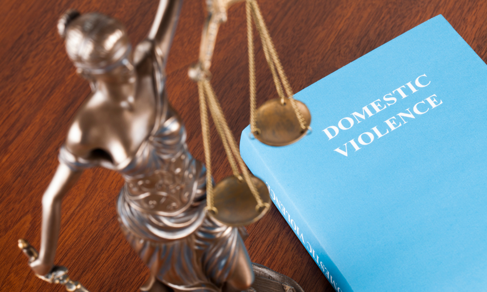 domestic violence law